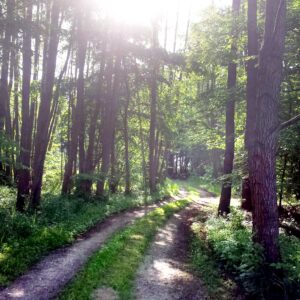 Uckermark abc
