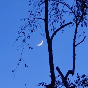 Neumond Neumond